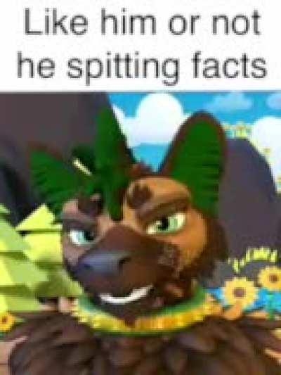 Facts_irl