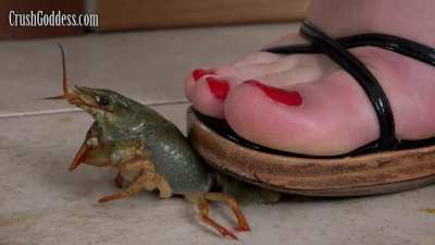 I exchange clips for others. I have clips from different producers.