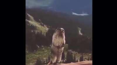 I'm sorry Ryan....not really....made by me btw