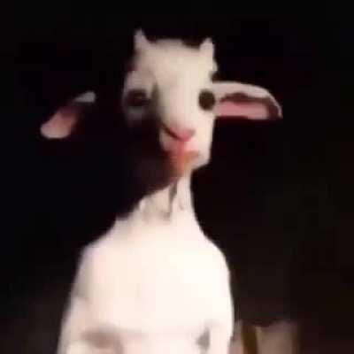 Creeís qu emi pana Damían le ganaría un 1v1 a mi pana Miguel? | +likes = +fuerza para miguel