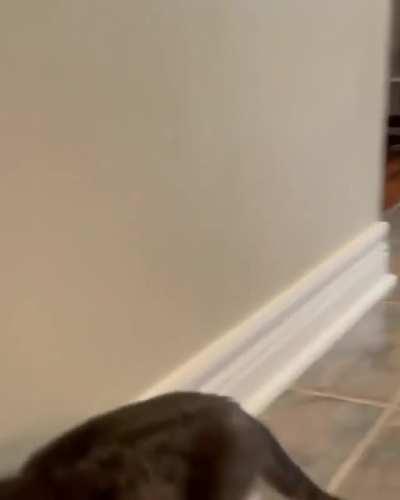 This spot. Then this spot. Then this spot.