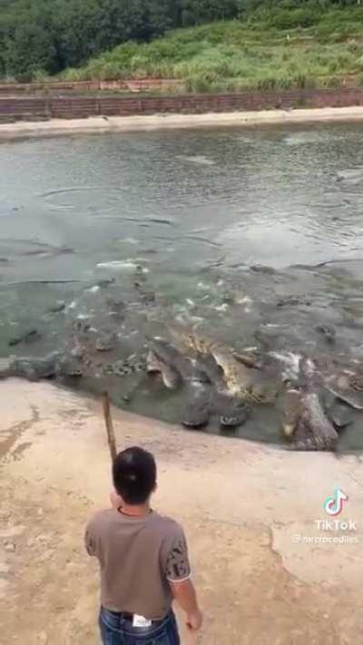 now that everyone’s distracted