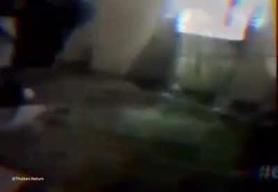 they are real they are real