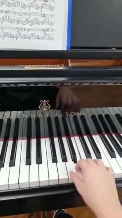 Luangameplay666 - Video #1412