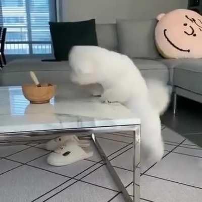 To eat from the bowl