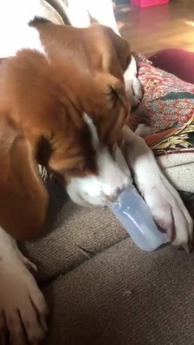 This was too cute not to post on this sub