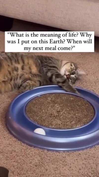 Accepting his domestic exsistence