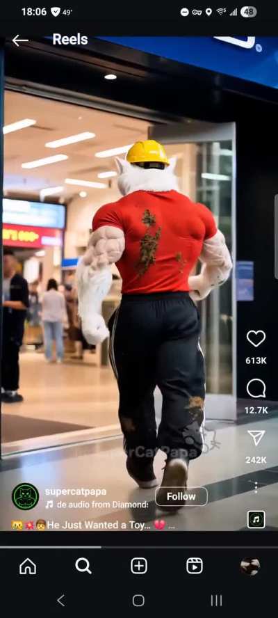 Strawberry diaper cat's origin story