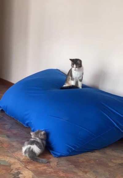 Imma gonna jump up and scare you