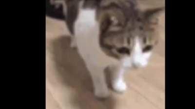 not sure if this has been before but