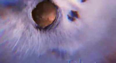 If you're anti p*rn, what do you think about all day?