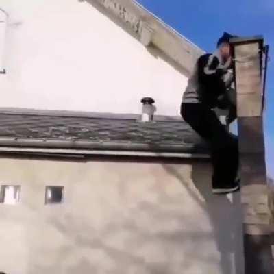 Landed on where he belongs