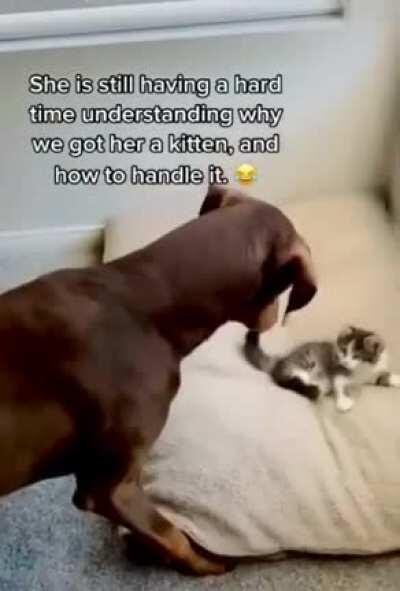 Hey! that’s my spot!