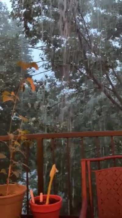 My cozy 3rd floor apartment balcony feels like a cave behind a waterfall :)