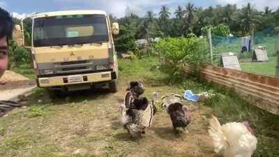 yung corny ka pero supportive friends mo. CTTO