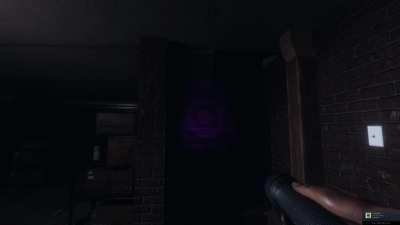 My brother and our friend were playing and caught the best interaction with a ghost on video