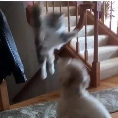 Monday be hittin' like...