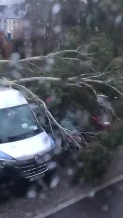 Storm damage to my car 😢