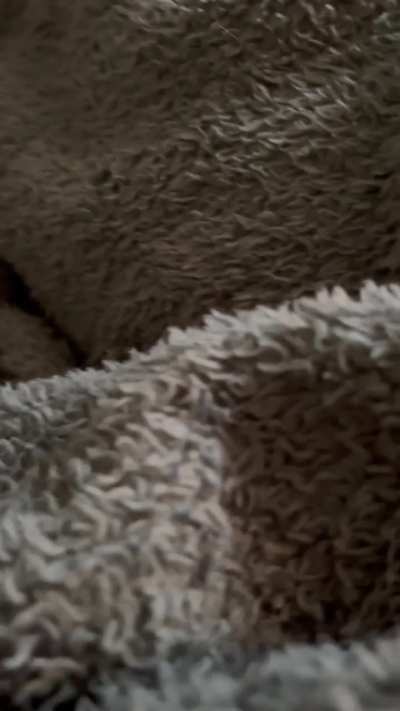 After dinner toots on the couch