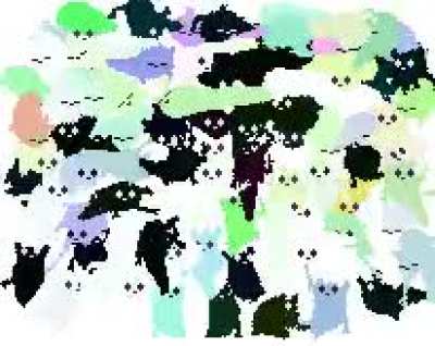 Baby slugcats violently jiggling in a crowded room.