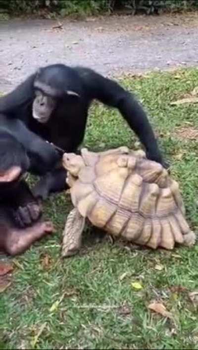 He shares cause he cares