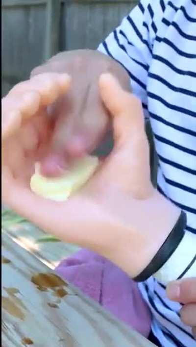 The only way to properly butter your corn