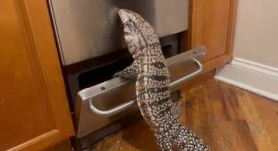 This is why my oven has toddler locks now