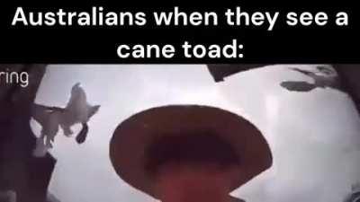 It's always in a creative way