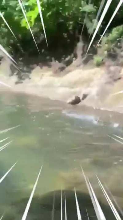 Теперь со звуком