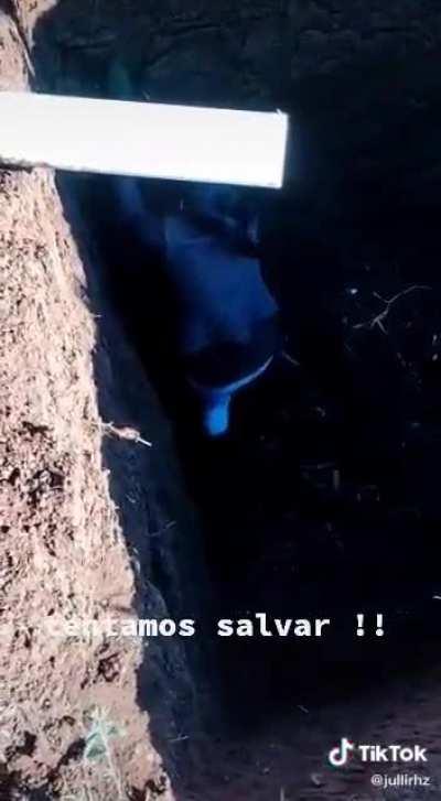 Assista até o final