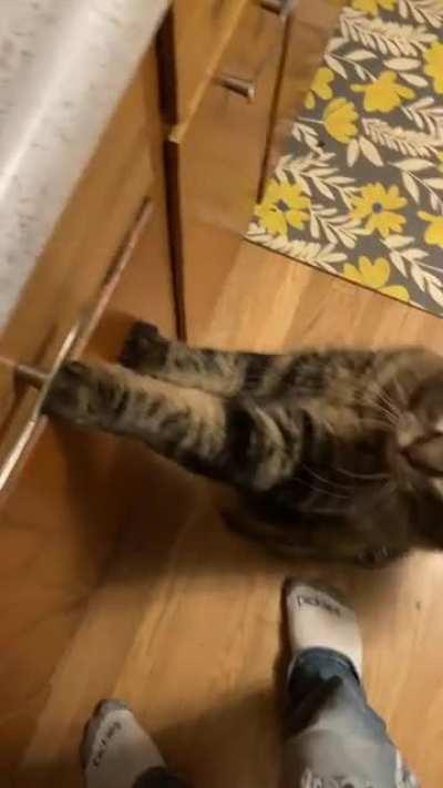 Gertrude waiting for breakfast