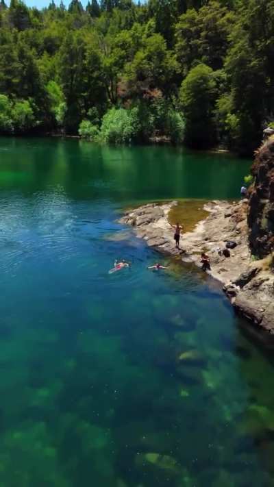 Patagonia argentina papa 🦫⛰️🇦🇷