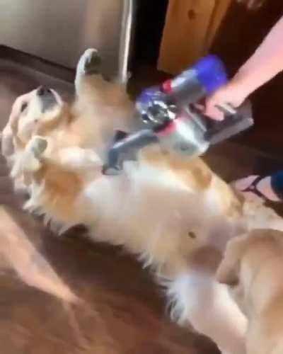 The Defloofanator 3000