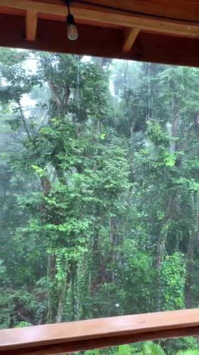 showers in the jungle