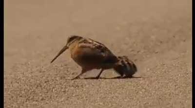 UnfIt MoThEr teaChEs hER cHiLdrEN tO tWERk! SiCk!