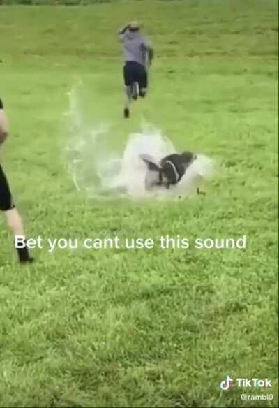 JJ always laugh at these kind of videos.