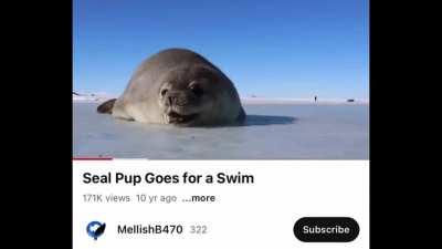 Me, when someone mentions cake