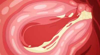 Rikka Takarada getting her hole filled up (h-seisakujyo) [Gridman Universe]