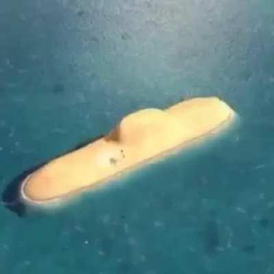 I'm 15 and this is yeet