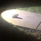 Even the nicest people have their limits...