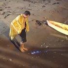 🔥 Thor has entered the chat...