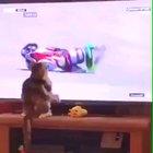 Do not underestimate my power human