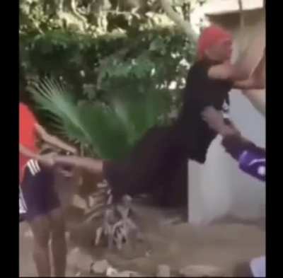 Swinging in the tree