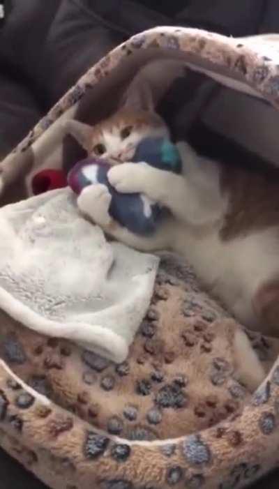 A wink to cheer you up