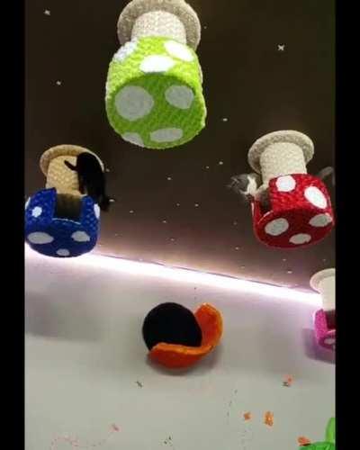 Cats playing on the ceiling.