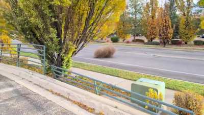 My tumbleweed people need me.