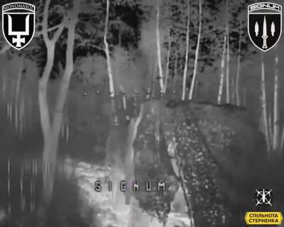 Signum group hits several russian soldiers at night in the Lyman direction, November 2025.