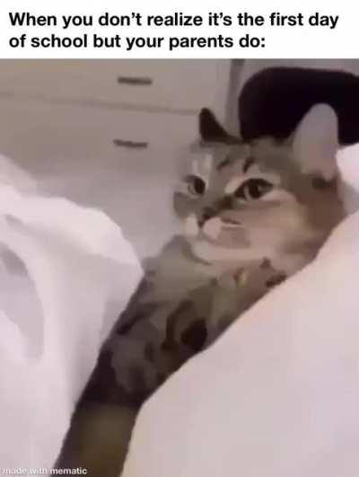 Your peace has been interrupted.