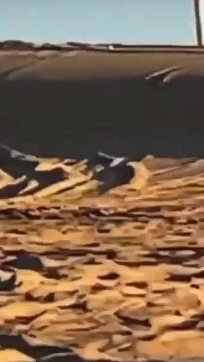 Hitting the dunes at full speed