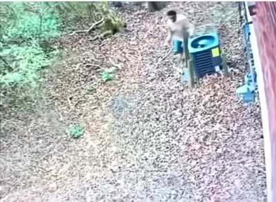 Daiiiiii ma come hai fatto a trovarmi??